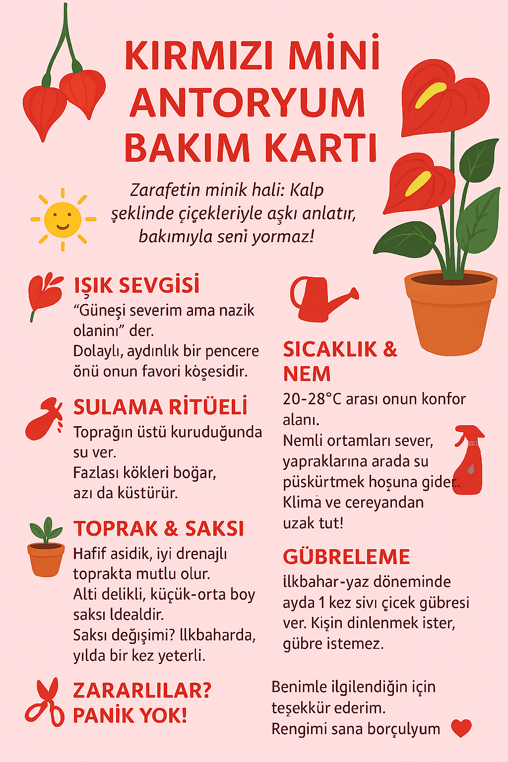 Canlı Kırmızı Mini Antoryum – Flamingo Çiçeği Saksıda