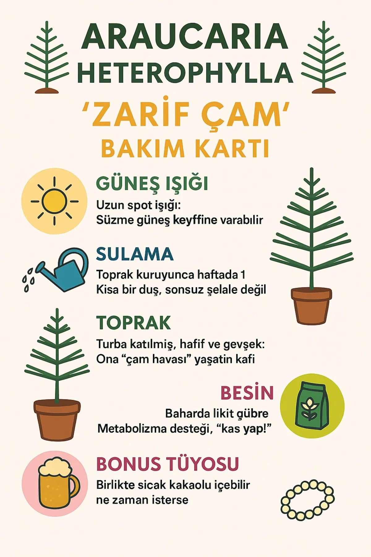 araucaria bakim karti