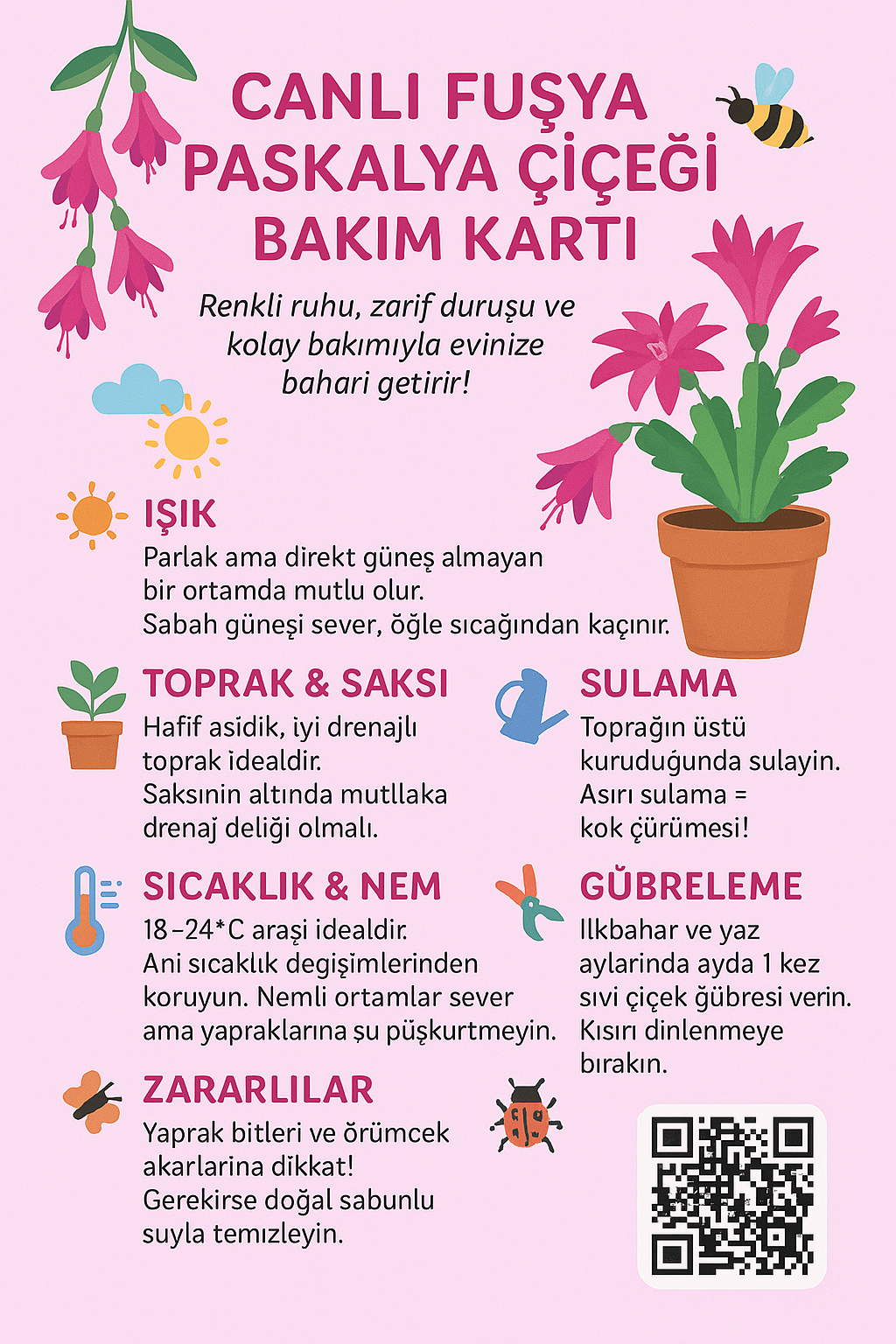 Fuşya Paskalya Çiçeği Saksıda – Yılbaşı Çiçeği | Canlı Dekorasyon