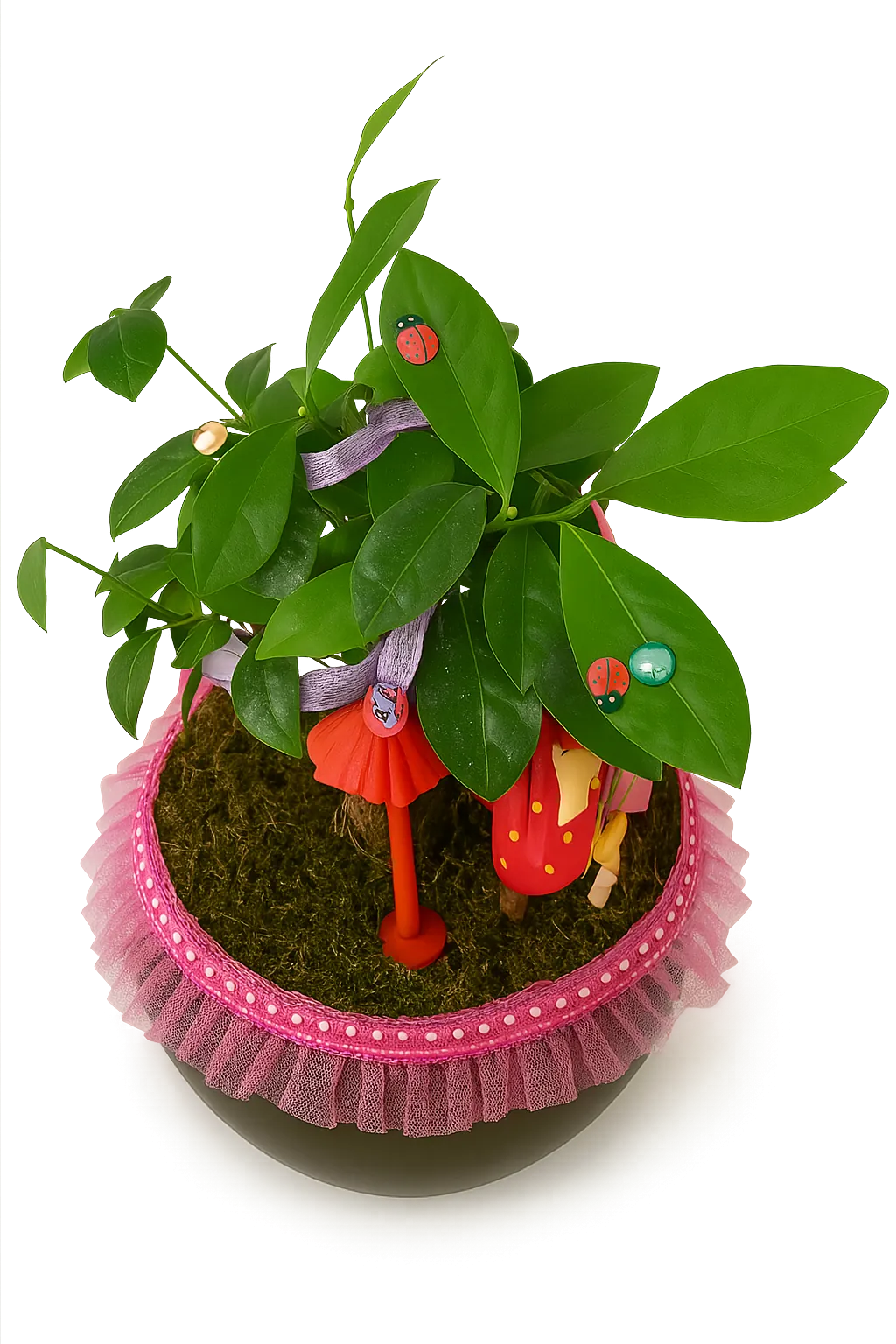 Efsun Bonsai – Özel Süslemeli Ficus Ginseng  Şık ve Doğal Dekoratif Ağaç