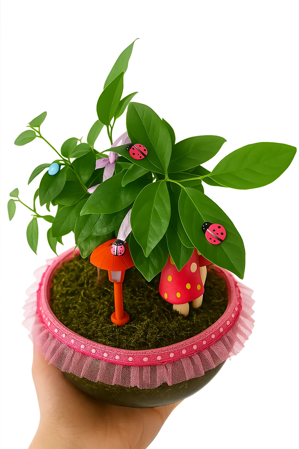 Efsun Bonsai – Özel Süslemeli Ficus Ginseng  Şık ve Doğal Dekoratif Ağaç