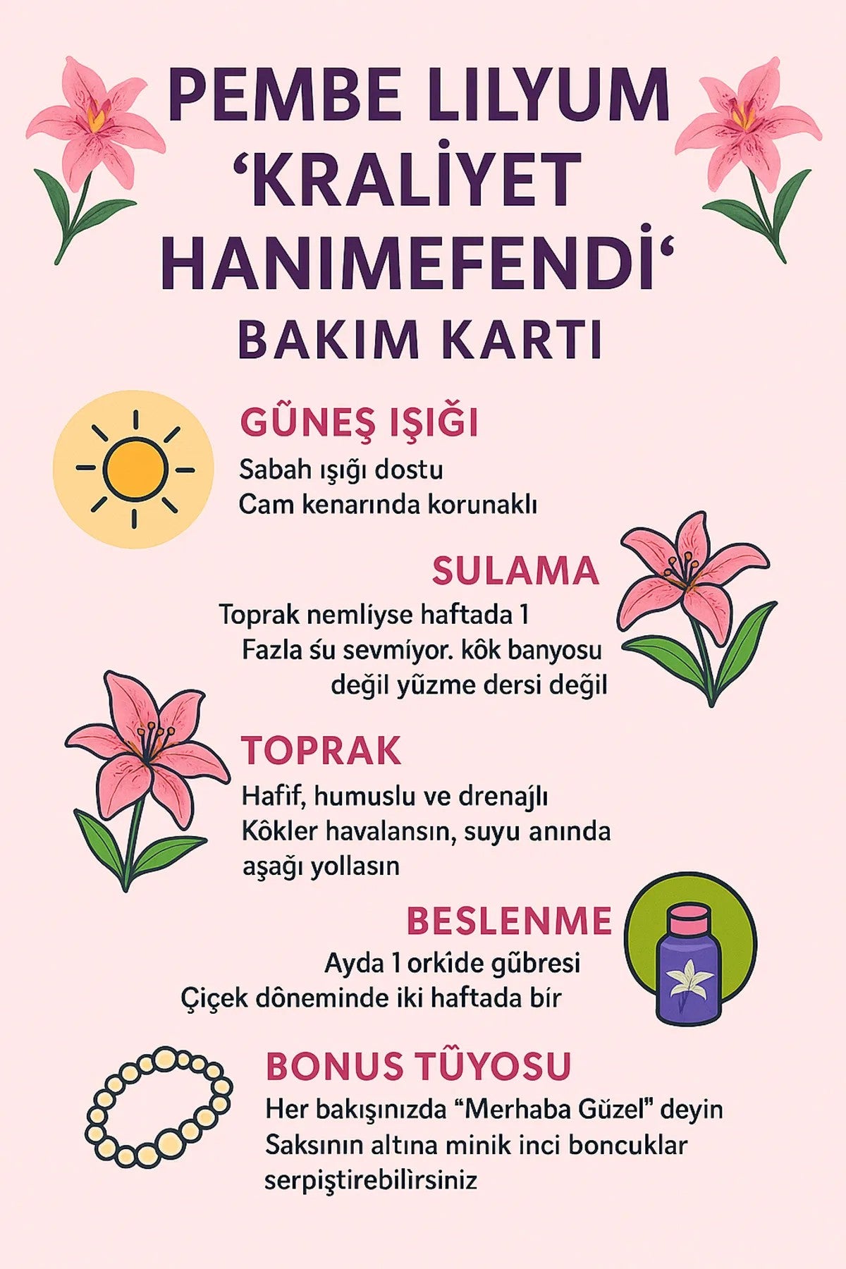 İthal Pembe Lilyum Çiçeği – Saksıda | Şık ve Modern İç Mekan Çiçeği