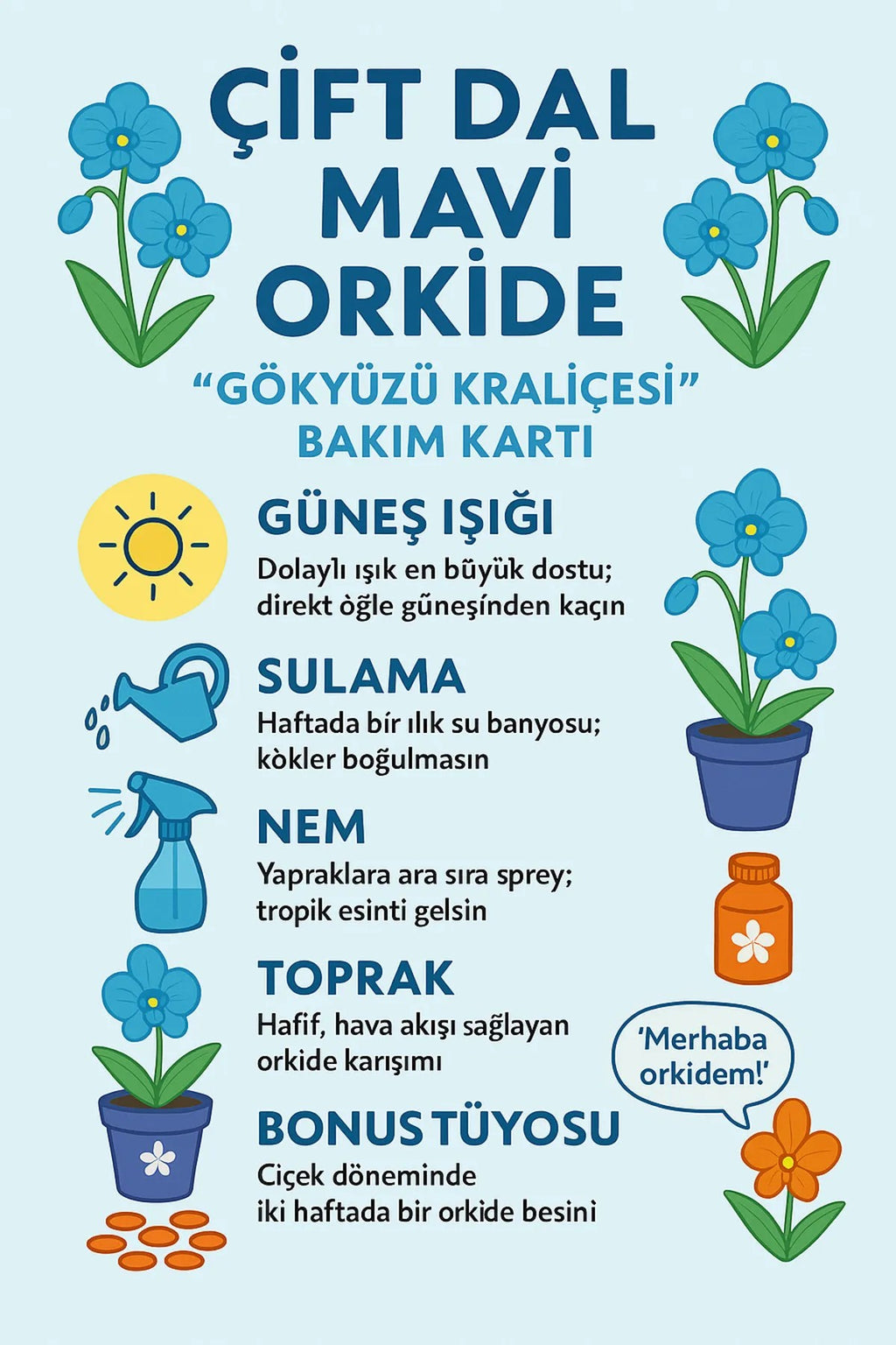 cift dal mavi orkide bakim karti
