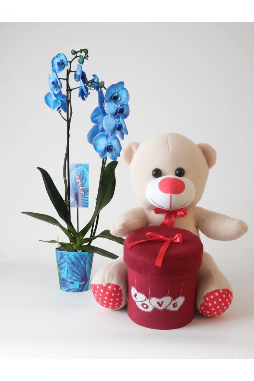 Sevgiliye Özel: Aşkınız Kadar Eşsiz Mavi Orkide & Ayıcık Hediye Kutusu